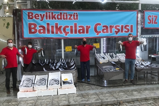 İstanbul` da Palamut 10 TL ya Düştü