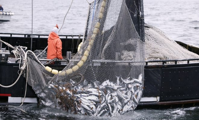 Dünya Balıkçı Halklar Forumu Büyükçekmece