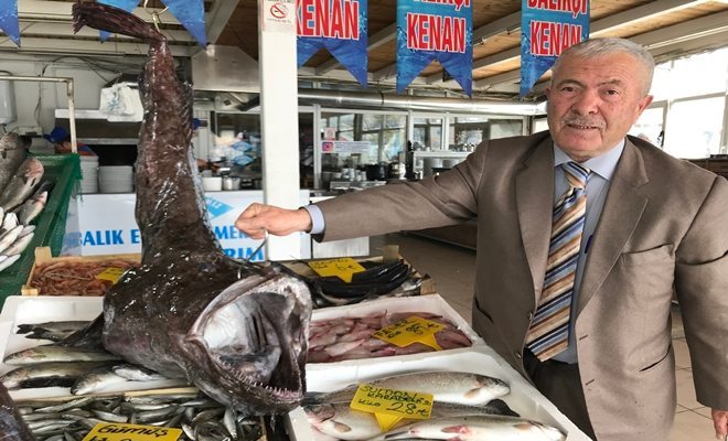 Dev Balıklar Marmara`da Yakalandı