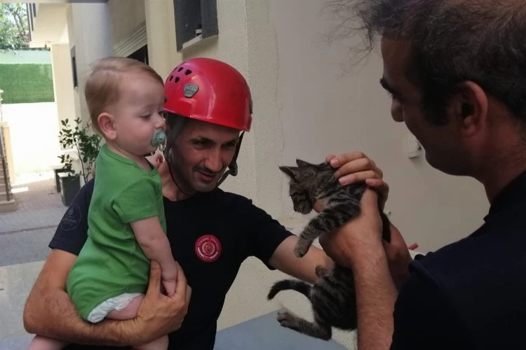 En çok kediler kurtarıldı... İstanbul