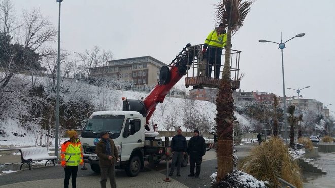   Sadece insanımızı değil, ağaçları da koruyoruz