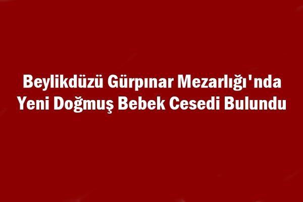 Mezarlıkta Yeni Doğmuş Bebek Cesedi Bulundu 